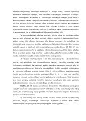 Nusikaltimai valstybės tarnybai ir viešiesiems interesams 6 puslapis