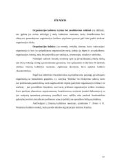 Organizacijos kultūros tyrimas 12 puslapis