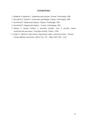 Organizacijos kultūros tyrimas 13 puslapis