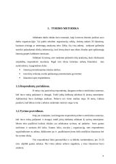 Organizacijos kultūros tyrimas 4 puslapis