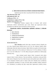 Organizacijos kultūros tyrimas 6 puslapis