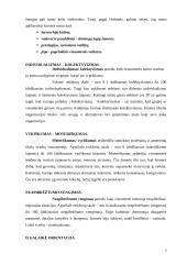 Organizacijos kultūros tyrimas 7 puslapis