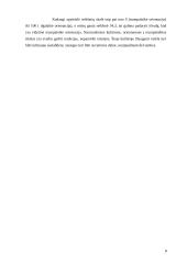 Organizacijos kultūros tyrimas 8 puslapis