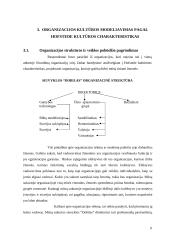 Organizacijos kultūros tyrimas 9 puslapis