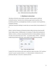 Ortofotografinės nuotraukos sudarymas ir vietovės fragmento vektorizavimas 11 puslapis