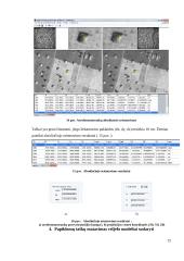 Ortofotografinės nuotraukos sudarymas ir vietovės fragmento vektorizavimas 12 puslapis