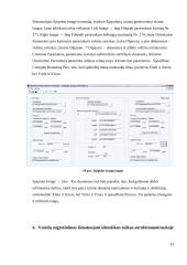 Ortofotografinės nuotraukos sudarymas ir vietovės fragmento vektorizavimas 14 puslapis