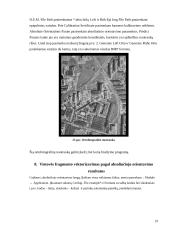 Ortofotografinės nuotraukos sudarymas ir vietovės fragmento vektorizavimas 19 puslapis