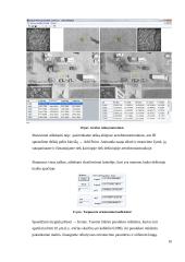 Ortofotografinės nuotraukos sudarymas ir vietovės fragmento vektorizavimas 10 puslapis