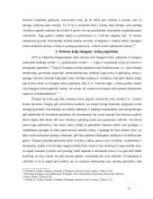 Orumas kaip žmogaus teisių pagrindas 17 puslapis