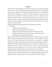 Orumas kaip žmogaus teisių pagrindas 3 puslapis