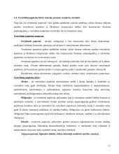 Pagrindiniai paieškos sistemų privalumai ir trūkumai 11 puslapis