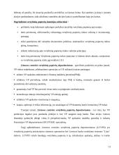 Pagrindiniai paieškos sistemų privalumai ir trūkumai 13 puslapis