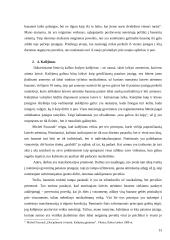 Pataisos įstaigų rūšys ir jų charakteristika 13 puslapis