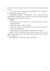 Pataisos įstaigų rūšys ir jų charakteristika 4 puslapis