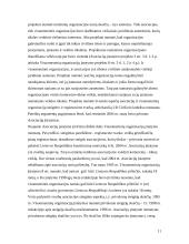 Pilietinės visuomenės veiklos teisinis reglamentavimas 11 puslapis