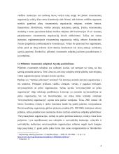 Pilietinės visuomenės veiklos teisinis reglamentavimas 4 puslapis