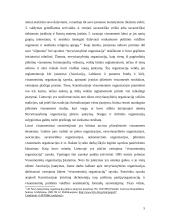 Pilietinės visuomenės veiklos teisinis reglamentavimas 5 puslapis