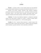 Prievolių įvykdymo užtikrinimo samprata ir būdai 3 puslapis