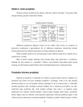 Projektų klasifikavimas 14 puslapis