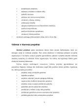Projektų klasifikavimas 9 puslapis