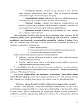 Regionų ekonominės-socialinės raidos aktyvinimas viešojo administravimo priemonėmis 12 puslapis