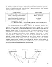 Regionų ekonominės-socialinės raidos aktyvinimas viešojo administravimo priemonėmis 16 puslapis