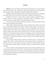 Santuoka bei santuokos nutraukimas 2 puslapis