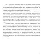 Santuoka bei santuokos nutraukimas 11 puslapis