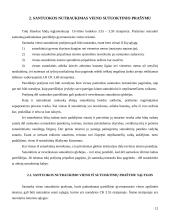 Santuoka bei santuokos nutraukimas 12 puslapis