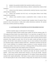 Santuoka bei santuokos nutraukimas 17 puslapis