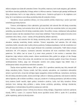 Santuoka bei santuokos nutraukimas 19 puslapis