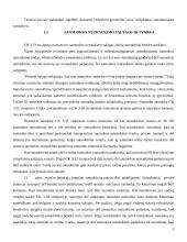 Santuoka bei santuokos nutraukimas 5 puslapis