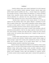 Santuokos sudarymo sąlygos 2 puslapis