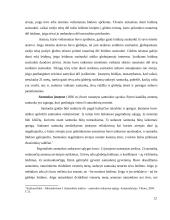 Santuokos sudarymo sąlygos 11 puslapis