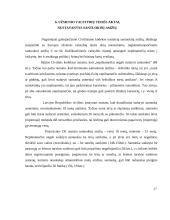 Santuokos sudarymo sąlygos 16 puslapis