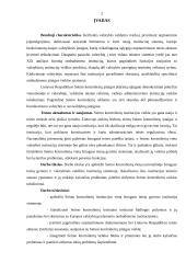 Seimo kontrolieriai kaip viena Konstitucijoje įtvirtintų žmogaus teisių gynimo institucijų 2 puslapis