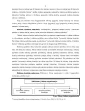 Seimo rinkimai 7 puslapis