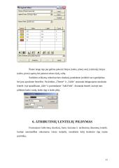 Skaitmeninio topografinio plano M1:500 sudarymas 11 puslapis