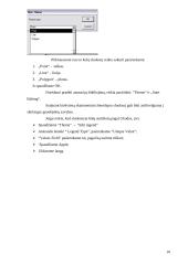 Skaitmeninio topografinio plano M1:500 sudarymas 10 puslapis