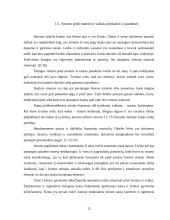 Smurto prieš moteris ir vaikus socialinės priežastys 12 puslapis