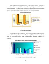 Smurto prieš moteris ir vaikus socialinės priežastys 17 puslapis