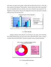Smurto prieš moteris ir vaikus socialinės priežastys 20 puslapis