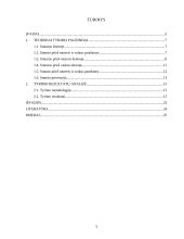 Smurto prieš moteris ir vaikus socialinės priežastys 3 puslapis