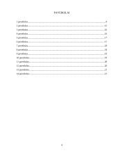 Smurto prieš moteris ir vaikus socialinės priežastys 4 puslapis