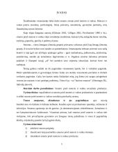 Smurto prieš moteris ir vaikus socialinės priežastys 5 puslapis