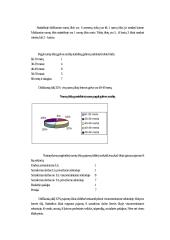 Statistinis tyrimas: namų ūkiai 4 puslapis