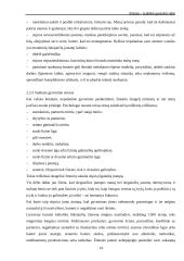 Stresas – sudėtinė gyvenimo dalis 14 puslapis