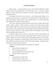 Studentų dienos režimas 19 puslapis