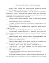 Studentų dienos režimas 8 puslapis